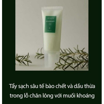 AROMATICA Muối Tẩy Tế Bào Chết Da Đầu Chiết Xuất Hương Thảo Rosemary Scalp Scrub 165g